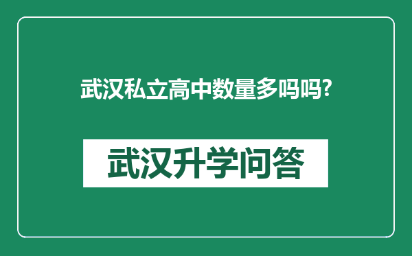 武汉私立高中数量多吗吗?