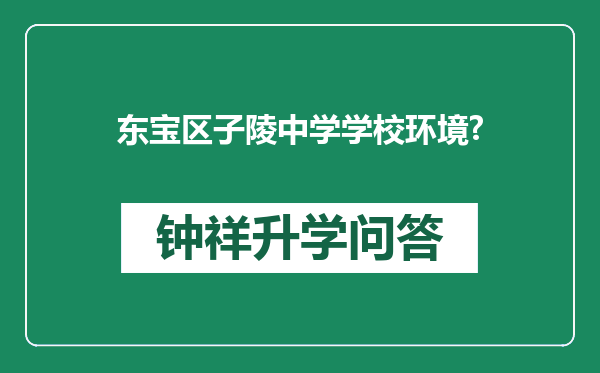东宝区子陵中学学校环境?