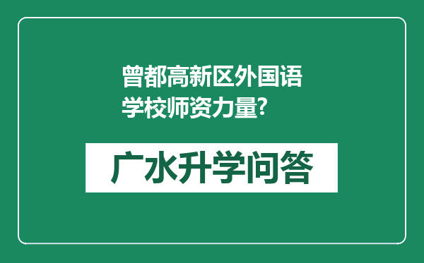 曾都高新区外国语学校师资力量?