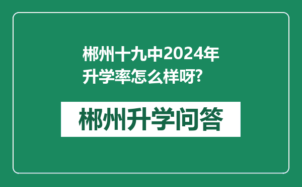 郴州十九中2024年升学率怎么样呀?