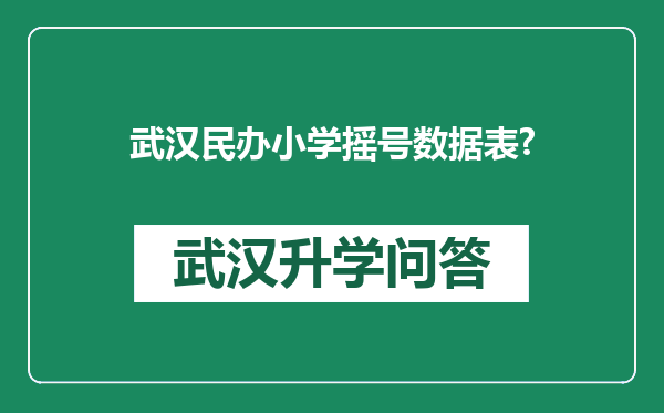 武汉民办小学摇号数据表?