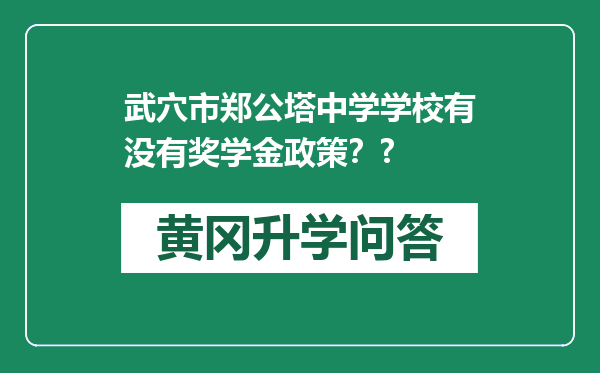 武穴市郑公塔中学学校有没有奖学金政策？?