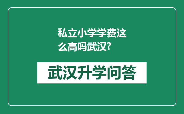 私立小学学费这么高吗武汉?