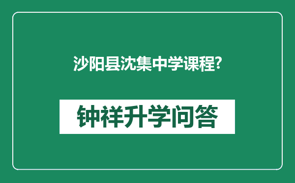 沙阳县沈集中学课程?