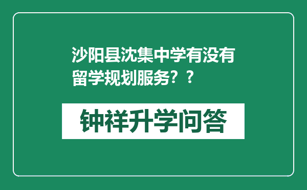沙阳县沈集中学有没有留学规划服务？?