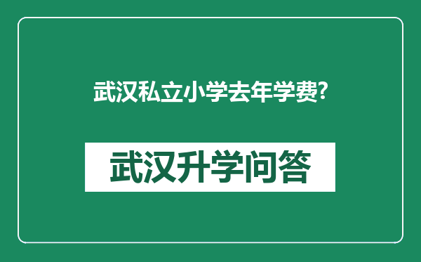武汉私立小学去年学费?