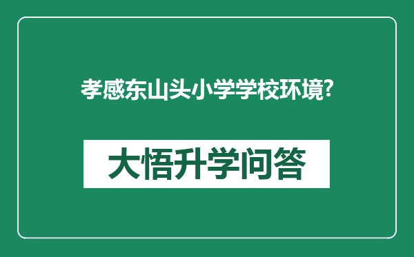 孝感东山头小学学校环境?