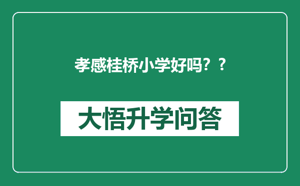 孝感桂桥小学好吗？?