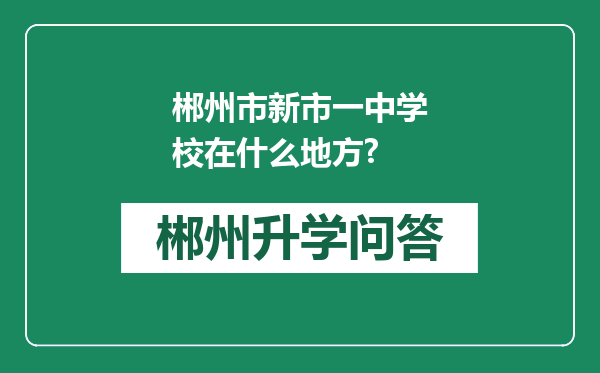 郴州市新市一中学校在什么地方?