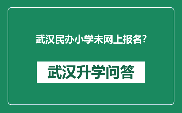 武汉民办小学未网上报名?