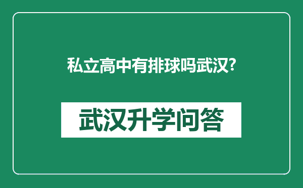 私立高中有排球吗武汉?