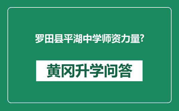 罗田县平湖中学师资力量?