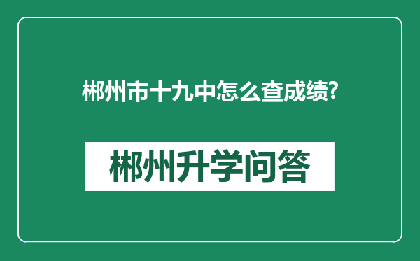 郴州市十九中怎么查成绩?