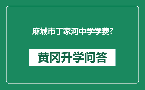 麻城市丁家河中学学费?
