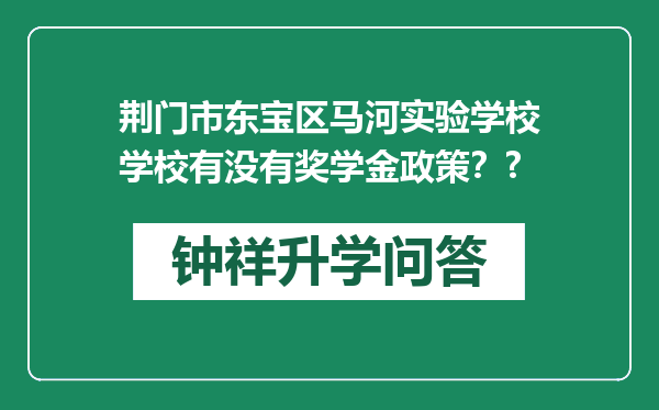 荆门市东宝区马河实验学校学校有没有奖学金政策？?