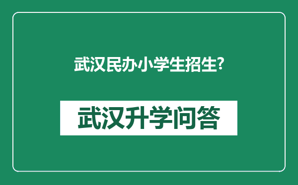 武汉民办小学生招生?