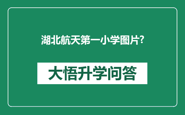 湖北航天第一小学图片?