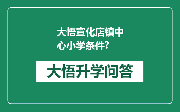 大悟宣化店镇中心小学条件?