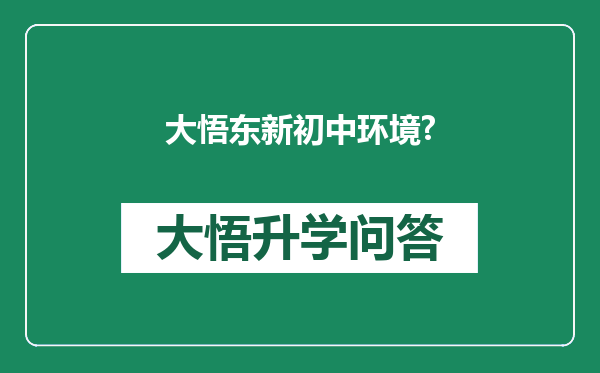 大悟东新初中环境?