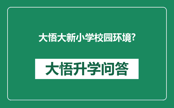 大悟大新小学校园环境?