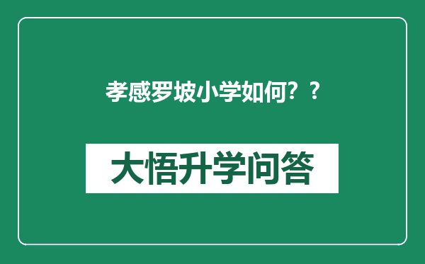 孝感罗坡小学如何？?