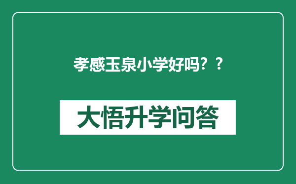 孝感玉泉小学好吗？?