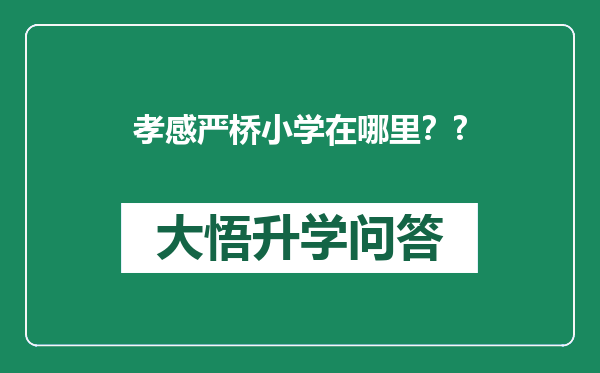 孝感严桥小学在哪里？?