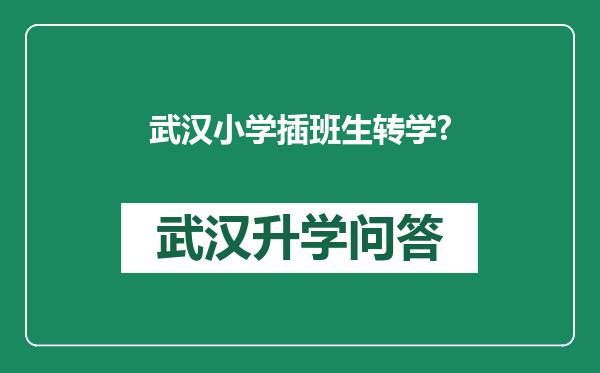 武汉小学插班生转学?