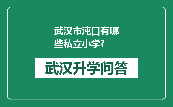 武汉市沌口有哪些私立小学?