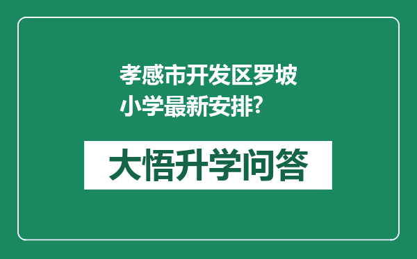 孝感市开发区罗坡小学最新安排?