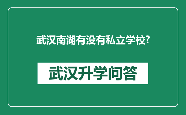 武汉南湖有没有私立学校?