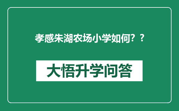 孝感朱湖农场小学如何？?