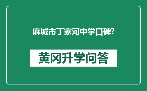 麻城市丁家河中学口碑?