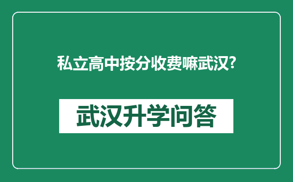 私立高中按分收费嘛武汉?