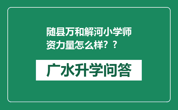 随县万和解河小学师资力量怎么样？?
