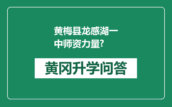 黄梅县龙感湖一中师资力量?