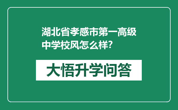 湖北省孝感市第一高级中学校风怎么样？