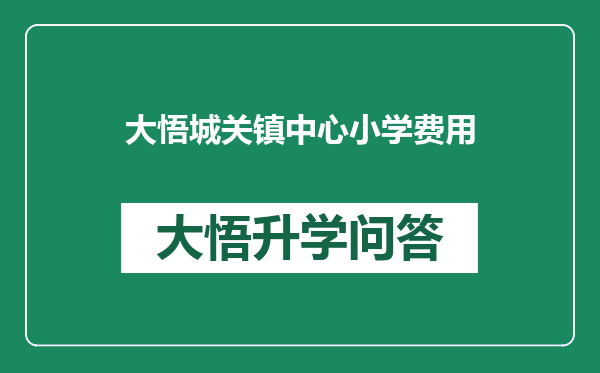 大悟城关镇中心小学费用