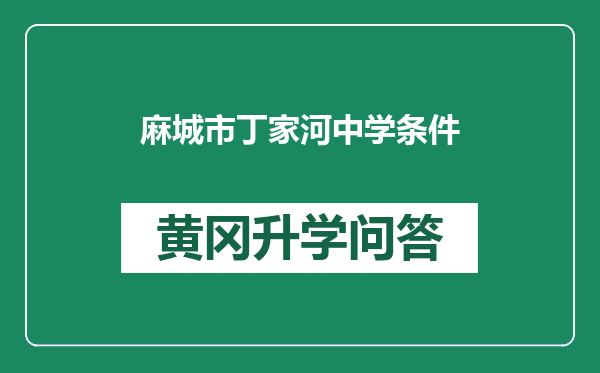 麻城市丁家河中学条件
