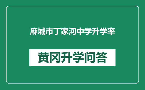 麻城市丁家河中学升学率
