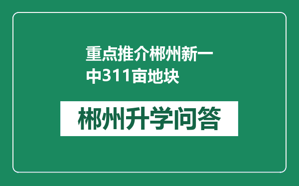 重点推介郴州新一中311亩地块