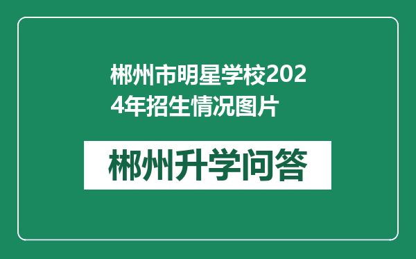 郴州市明星学校2024年招生情况图片