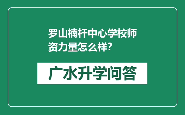 罗山楠杆中心学校师资力量怎么样？