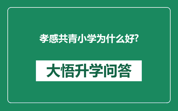 孝感共青小学为什么好?